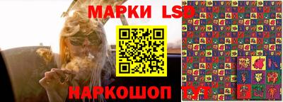 spice Коммунар