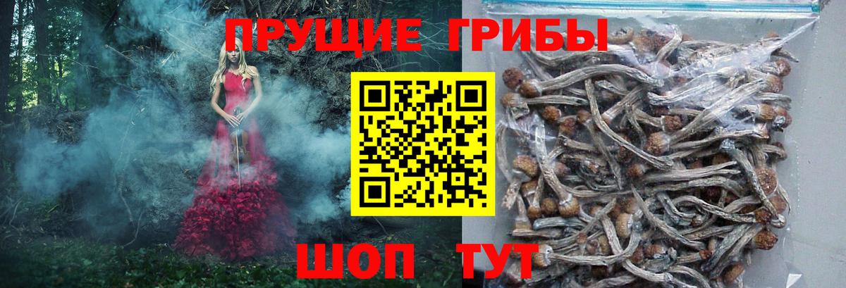 Галлюциногенные грибы мицелий  Вход с VPN  Галлюциногенные грибы Psilocybine cubensis  Костомукша 
